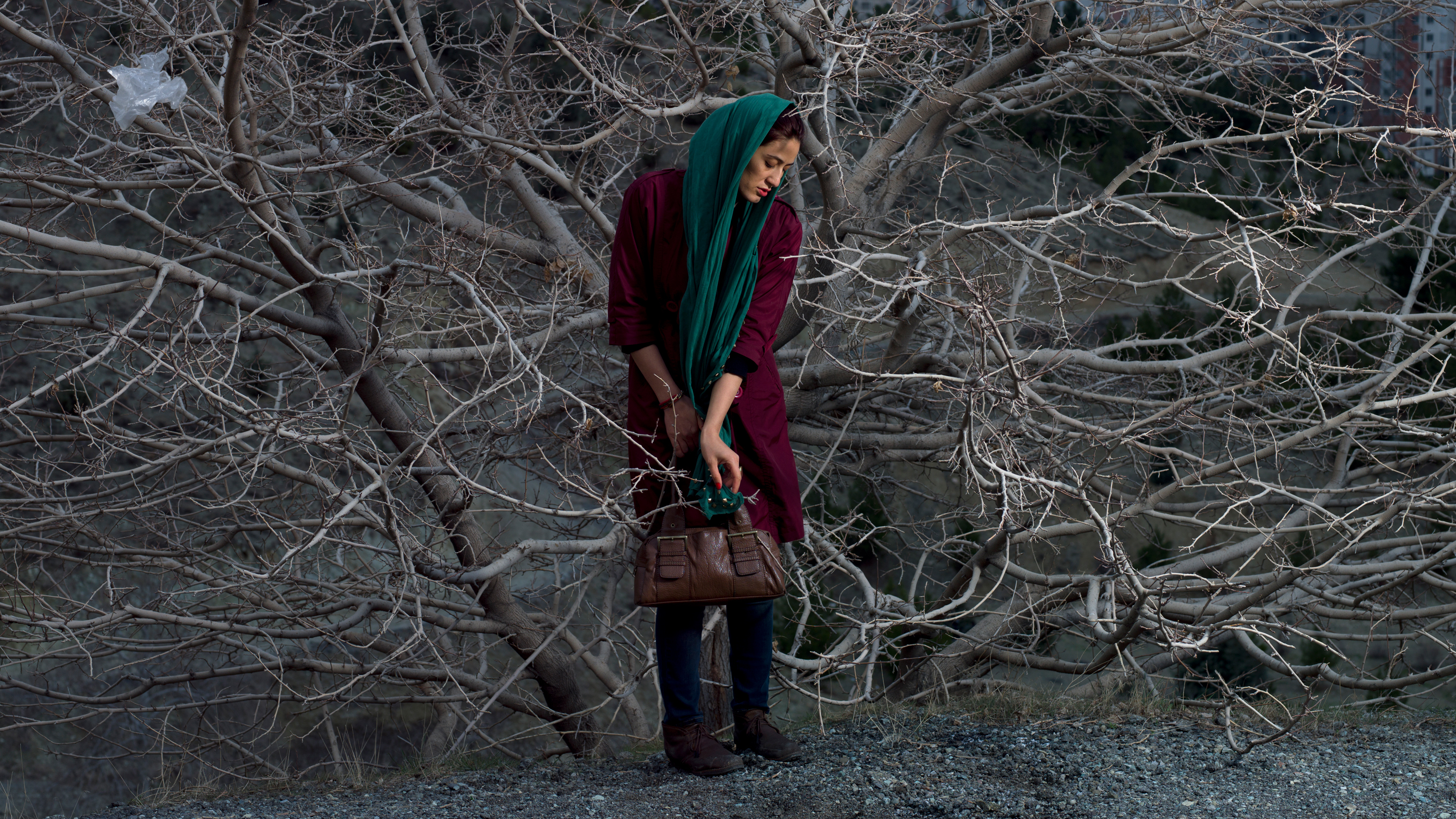 Somayeh, from Blank Pages of an Iranian Photo Album.