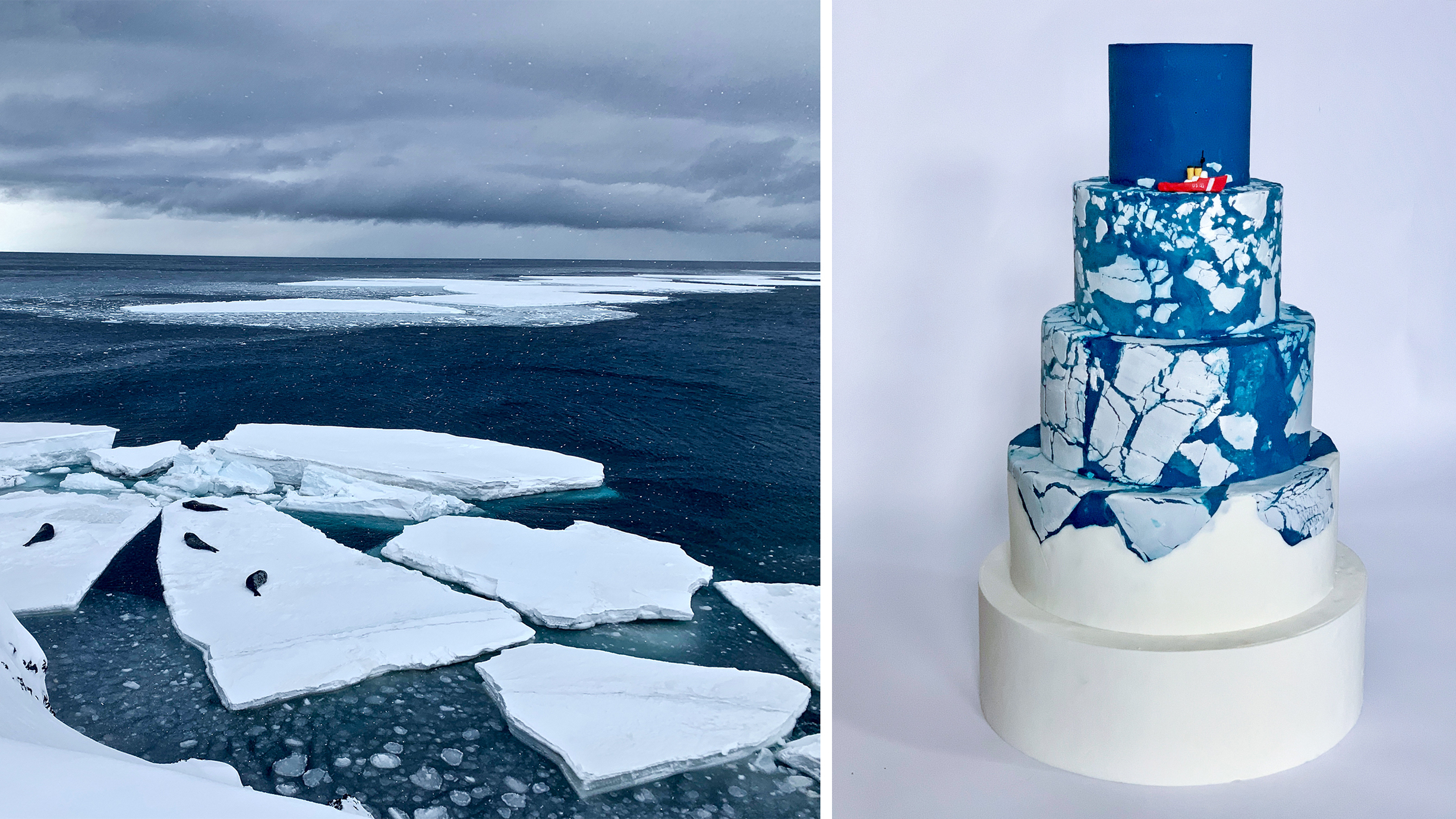 This Antarctic Research Takes The Cake Or At Least The Shape Of