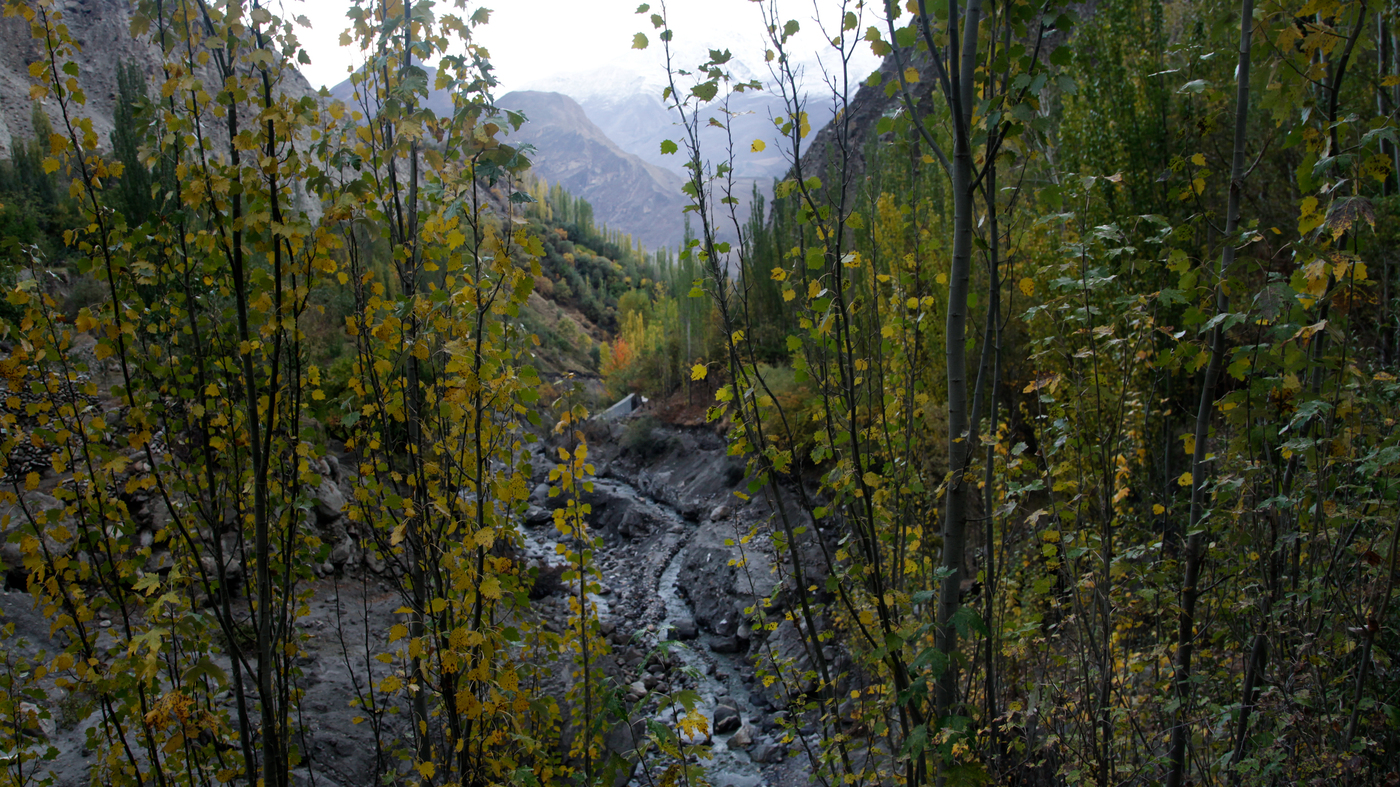 'Maybe It Will Destroy Everything': Pakistan's Melting Glaciers Cause Alarm - NPR