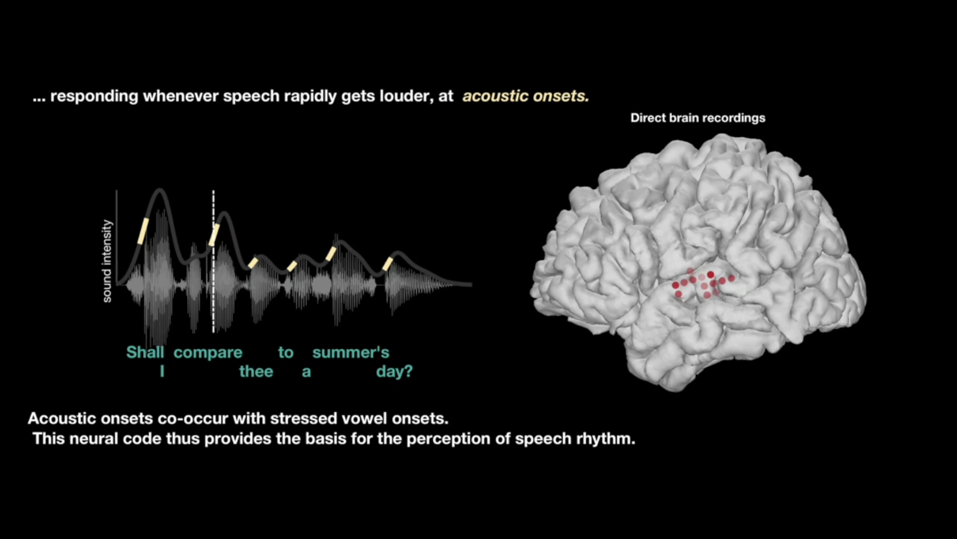 The Loudness Of Vowels Helps The Brain Break Down Speech Into Syl-La-Bles