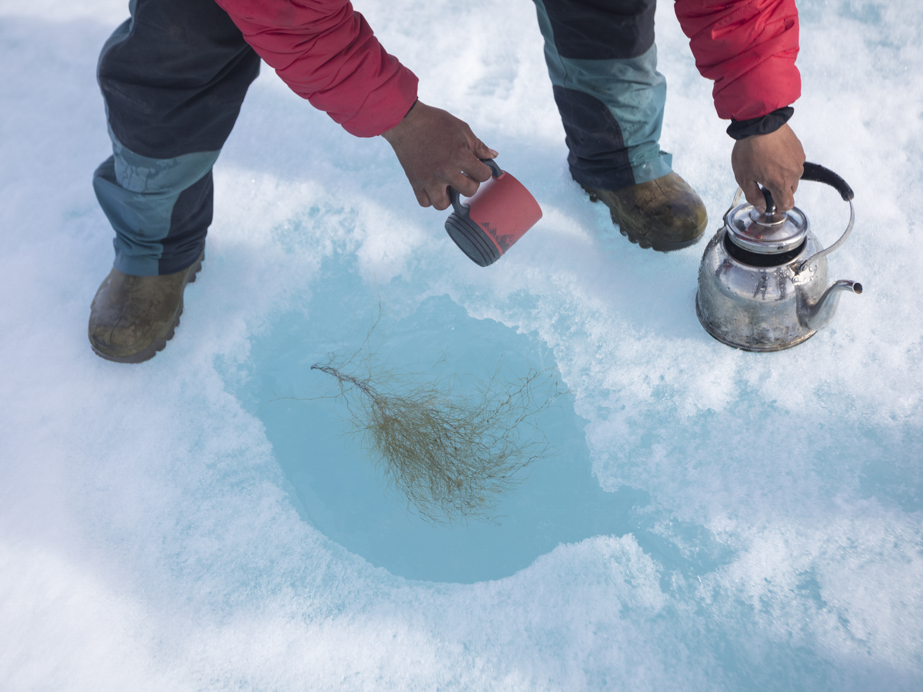PHOTOS How Families Eat In The Arctic From An 18 Box Of Cookies To