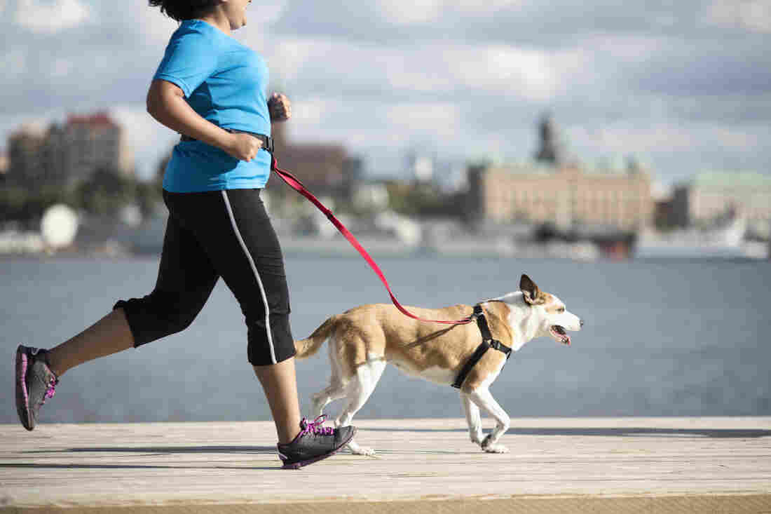 Focus on healthy habits rather than the scale.