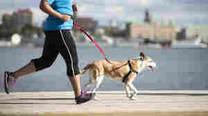 A Saner Mindset For Weight Loss