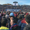 Activists Disrupt Harvard-Yale Rivalry Game To Protest Climate Change