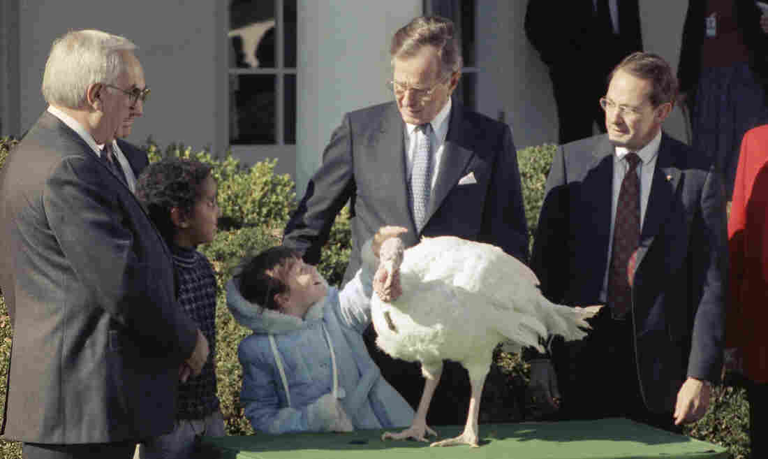 Westlake Legal Group ap_8911180217_custom-efe0f047d82a8b0134dff7281aad847765ce59fa-s1100-c15 I Beg Your Pardon: The Strange History Presidents Sparing Turkeys