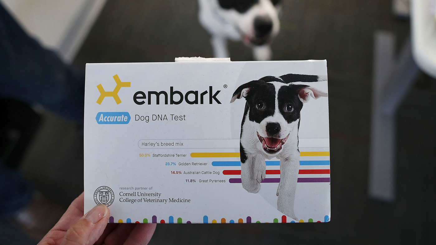 Should You Test Your Dog S Dna Shots Health News Npr