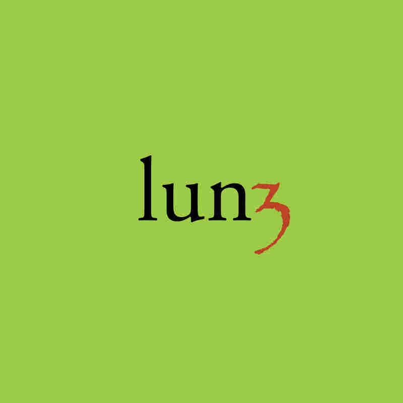 Roedelius & Tim Story, Lunz 3