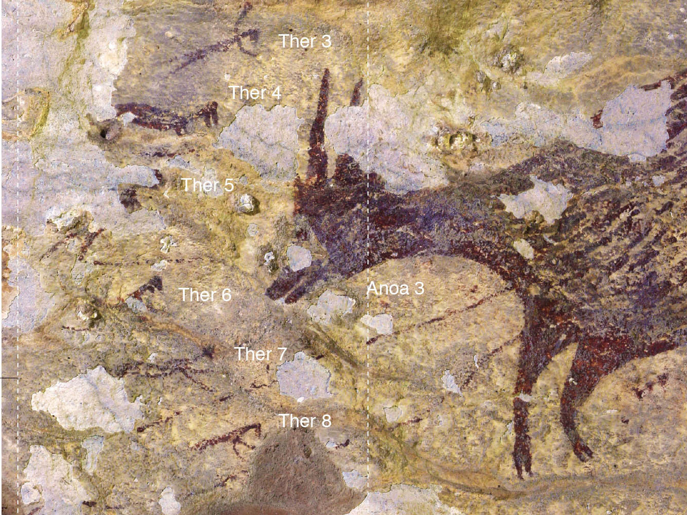 44,000-Year-Old Indonesian Cave Painting Is Rewriting The History Of Art 1 The painting found on the island of Sulawesi depicts a complex scene of a hunting party.
