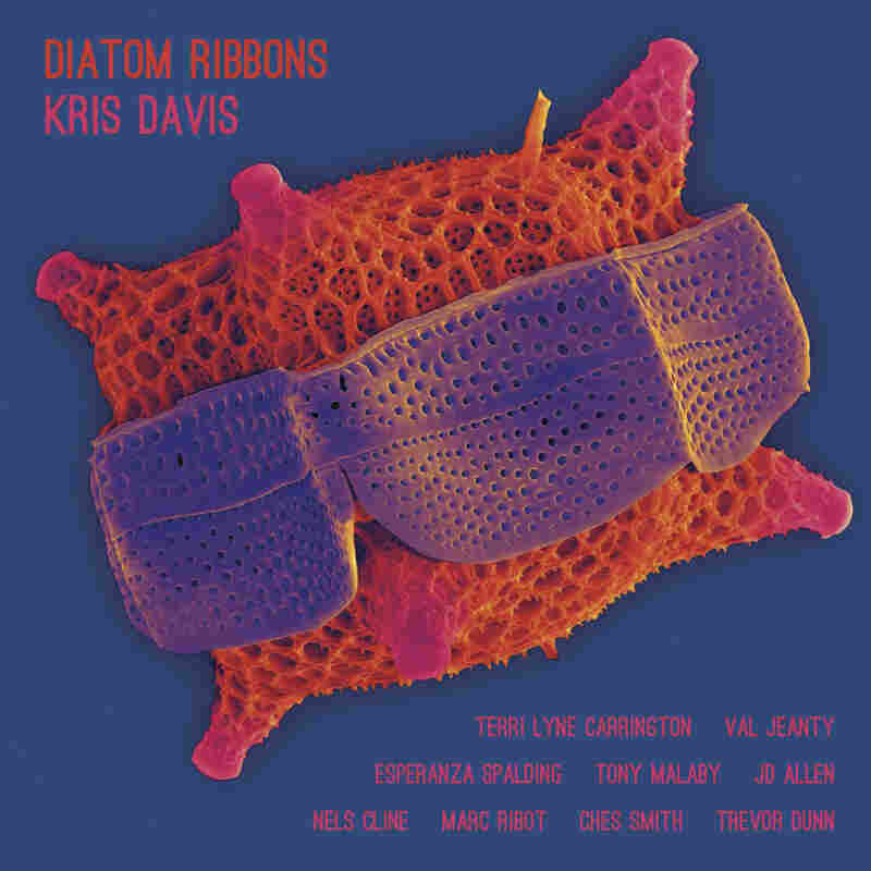 Kris Davis, Diatom Ribbons