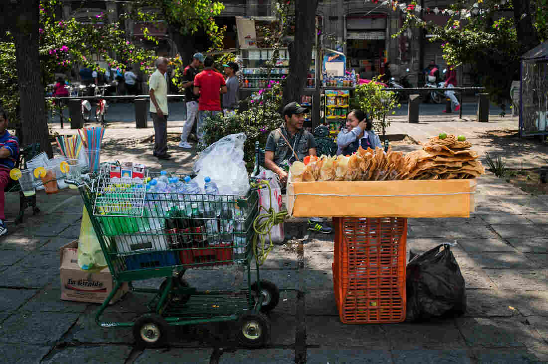 Malnutrition Hits The Obese As Well As The Underfed