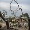 formulate the hypothesis of tropical cyclone in mozambique Mozambique Is Racing To Adapt To Climate Change. The Weather Is Winning