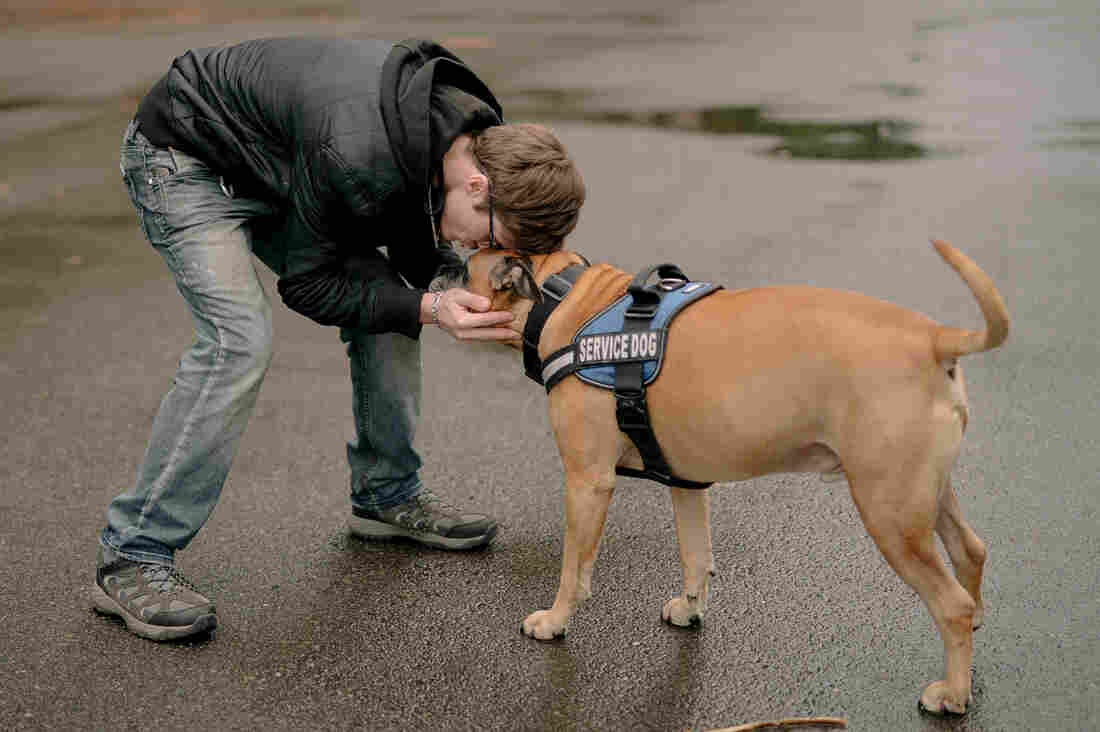 Harrison Schapelhouman with his service dog.