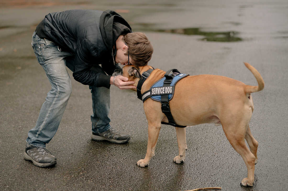 Harrison Schapelhouman with his service dog.