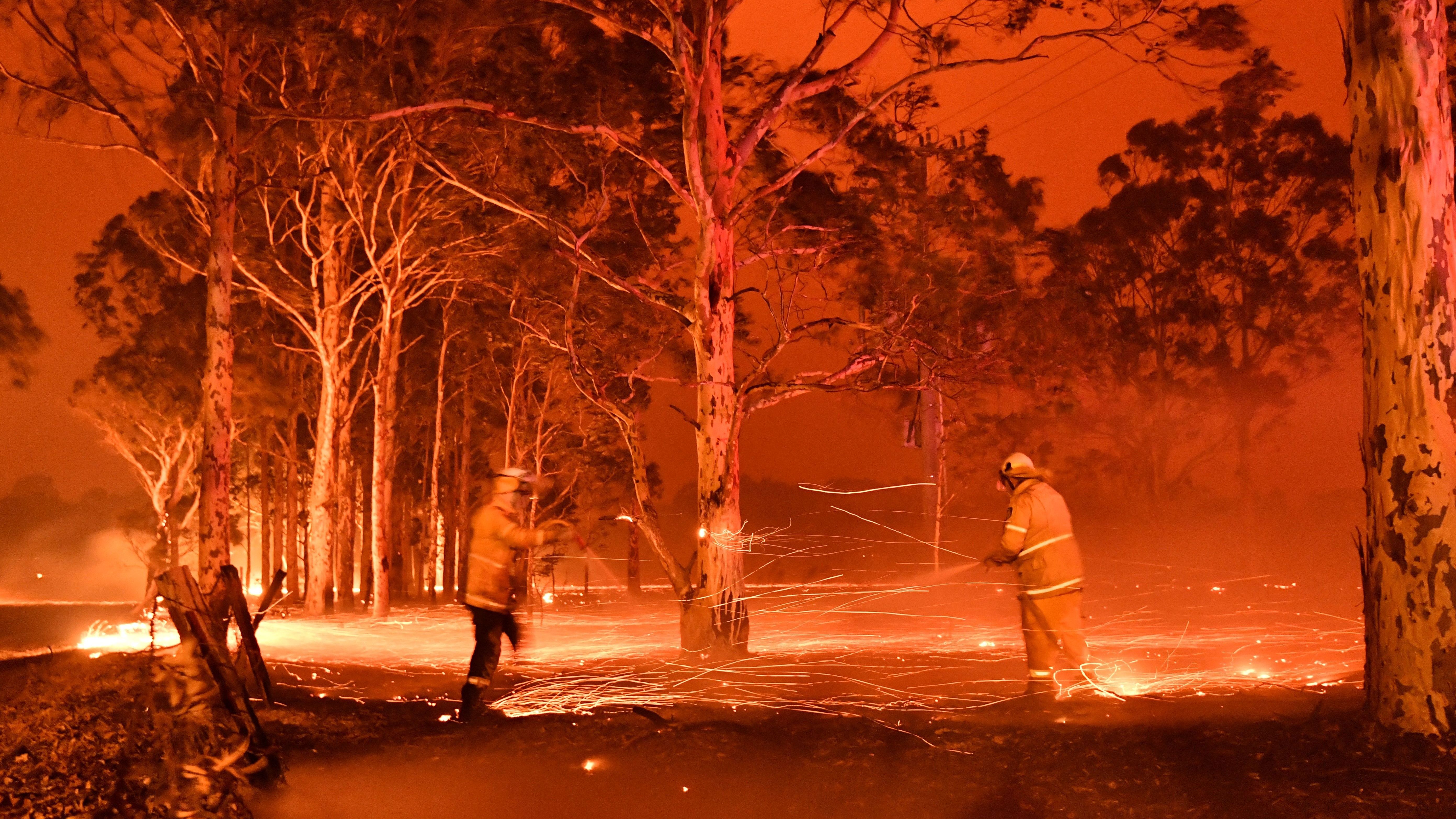 Firefighters battle a blaze engulfing trees in the town of Nowra in the Australian state of New South Wales on Dec. 31, 2019. Fire conditions worsened into the New Year, with thousands forced to evacuate. (AFP via Getty Images)