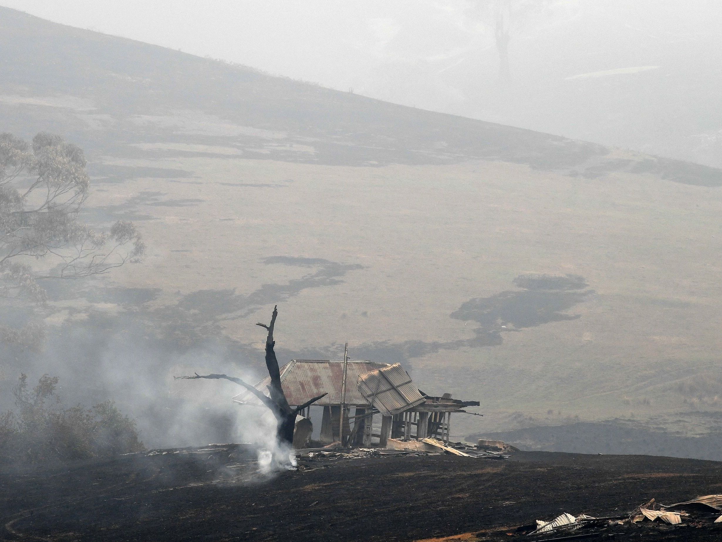 Smoke rises from a tree next to a fire-ravaged house in Australia's New South Wales on Monday. Reserve troops were deployed to parts of three Australian states after fires worsened over the weekend. (AFP via Getty Images)