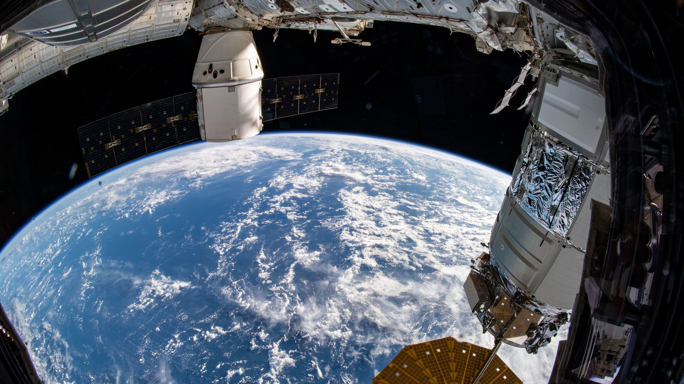 Scientists Sent Mighty Mice To Space To Improve Treatments Back On Earth