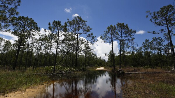 Trump administration is rolling back Obama-era protections for smaller waterways