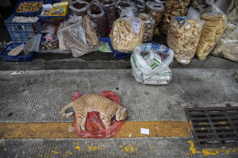 'Wet Market' In China Is Linked To Coronavirus Outbreak. What Are These