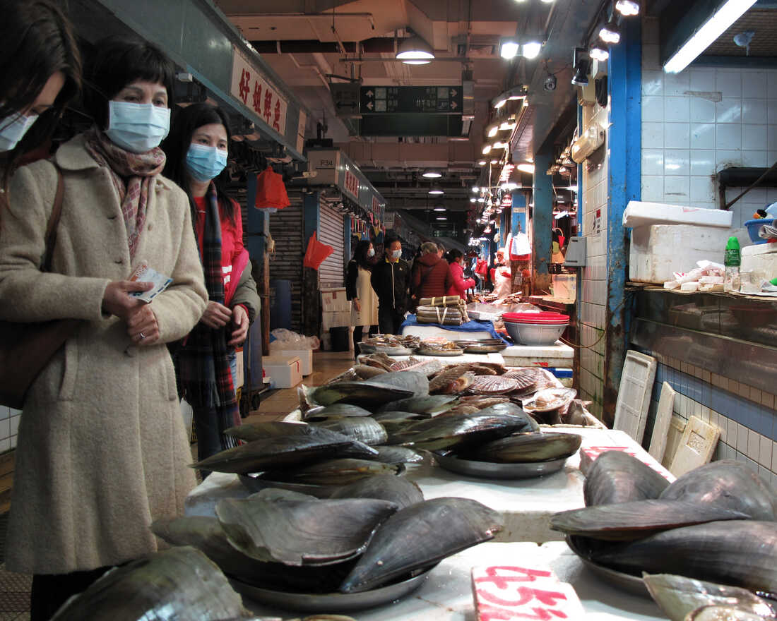 Wet market что это