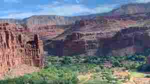 Reviewing NPR's Expanding Coverage Of Native American Communities