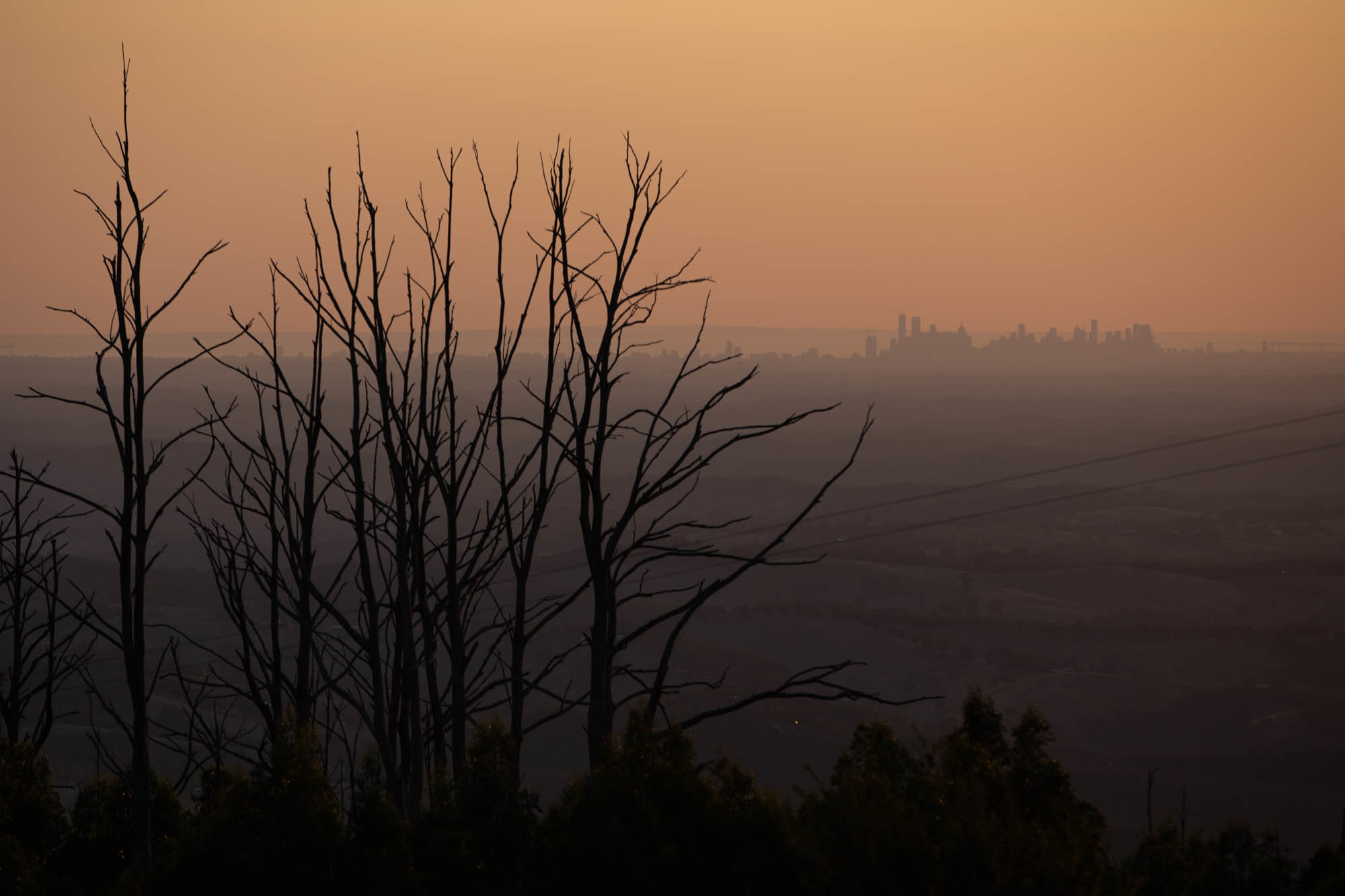 Bushfires followed by intense rain can cause unsettled sediment and debris to contaminate local water reservoirs. Melbourne's water authority invested in catchments to combat this threat, though scientists are still trying to understand when and how these debris flows occur. (Meredith Rizzo/NPR)