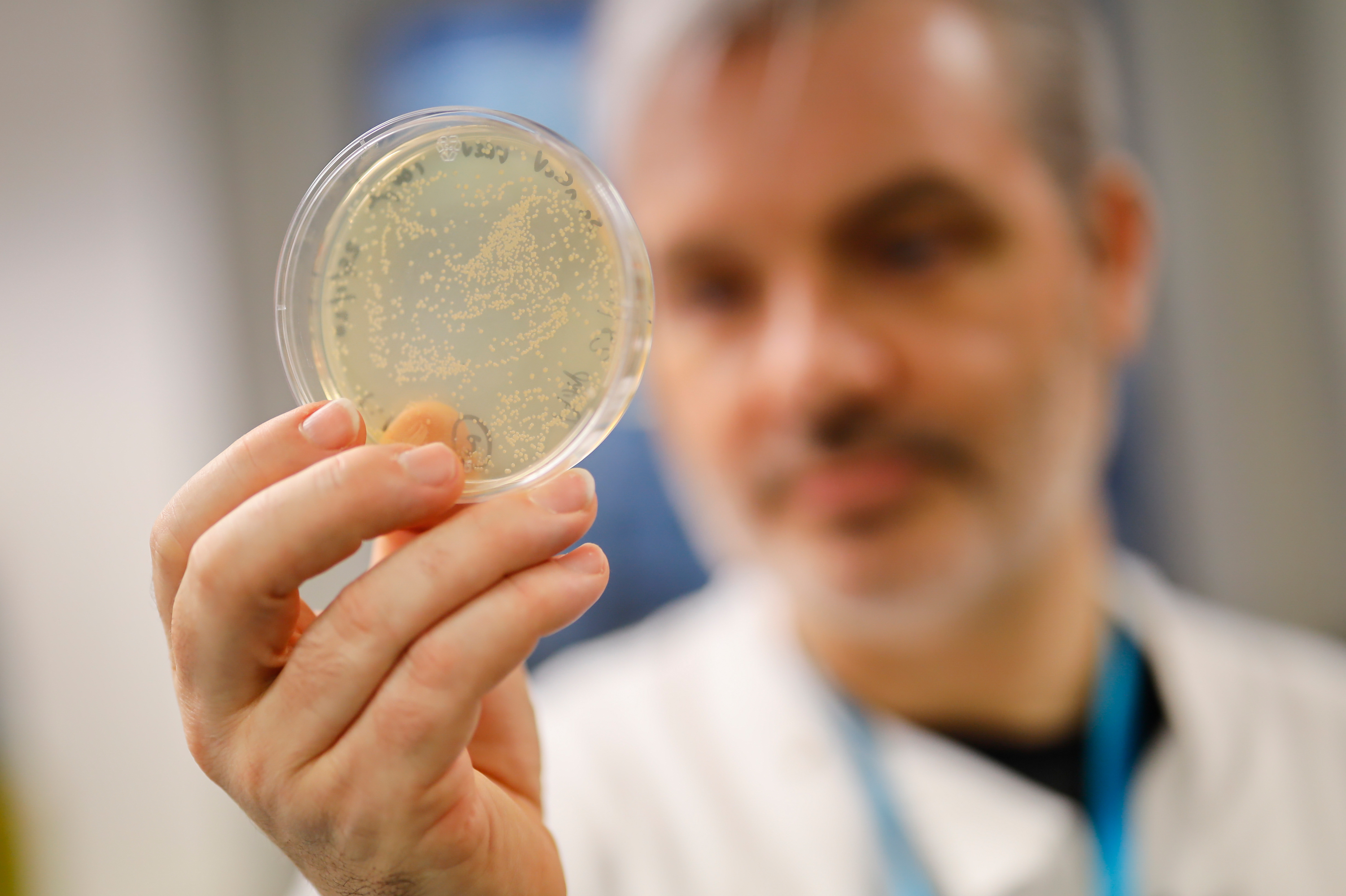 Paul McKay, a molecular immunologist at the Imperial College School of Medicine in London, checks a dish of bacteria containing genetic material from the new coronavirus. He and his team are testing a candidate vaccine. (AFP via Getty Images)