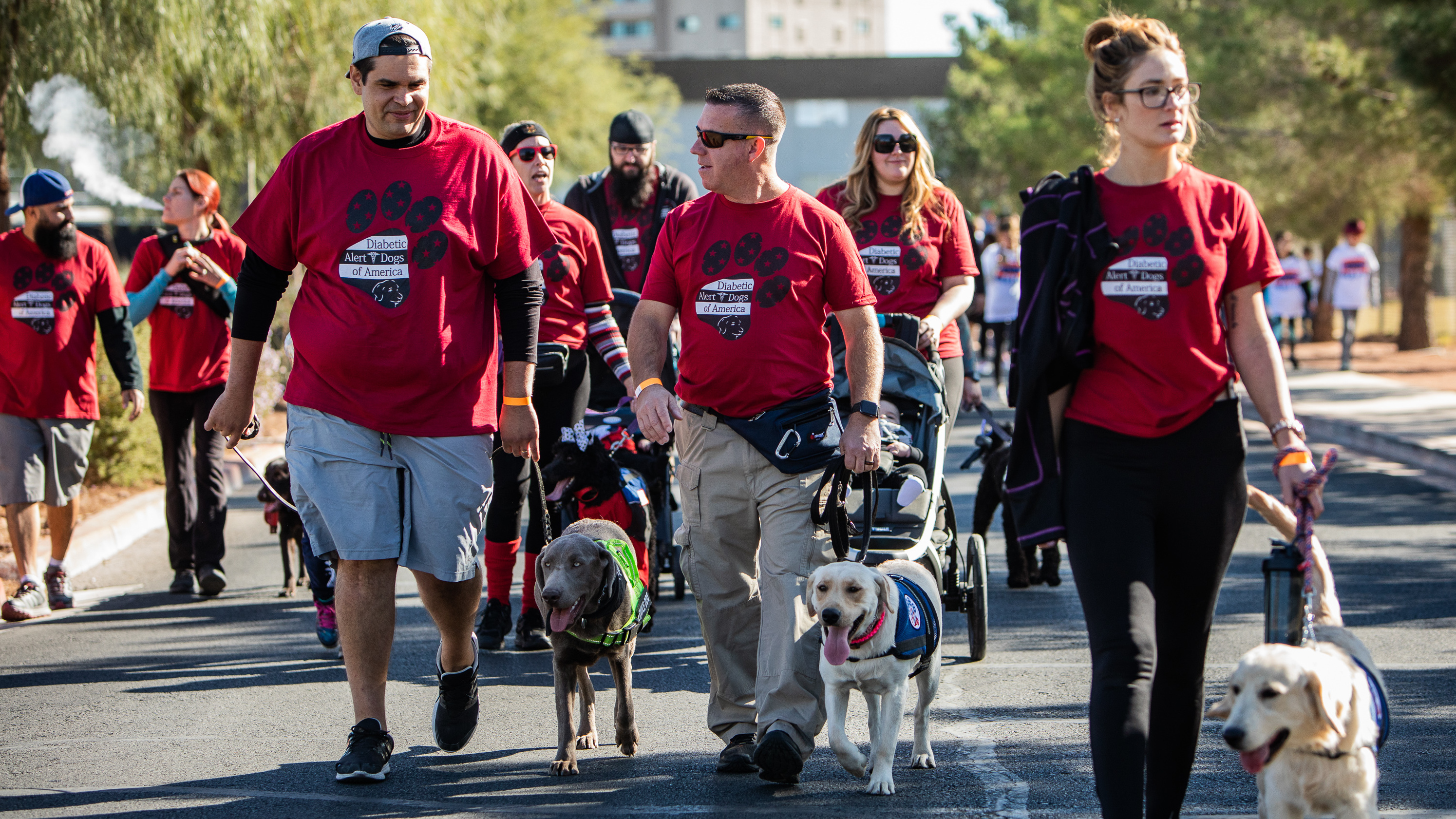 type 2 diabetes service dog