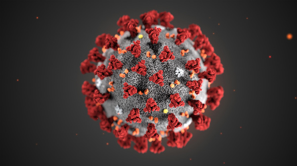 An illustration created by the Centers for Disease Control and Prevention shows the structure of the coronavirus now named COVID-19.