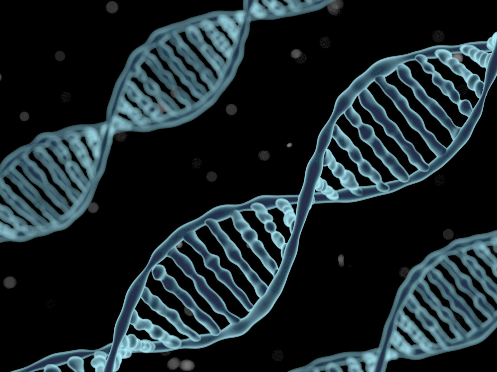 gettyimages-590772721-14cc4641e7f699890a