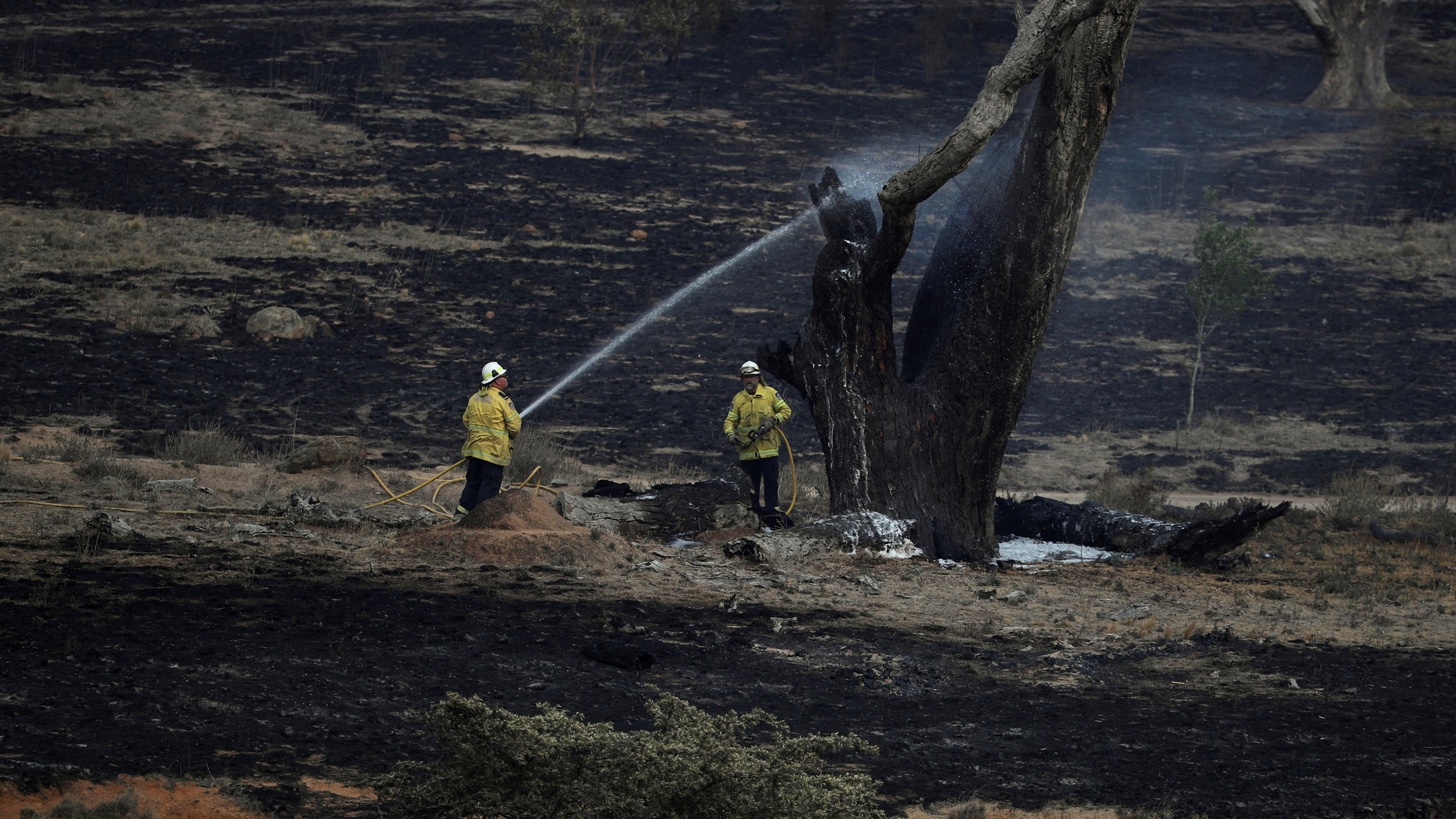 'All Fires Are Now Contained' Australia's New South Wales Celebrates NPR