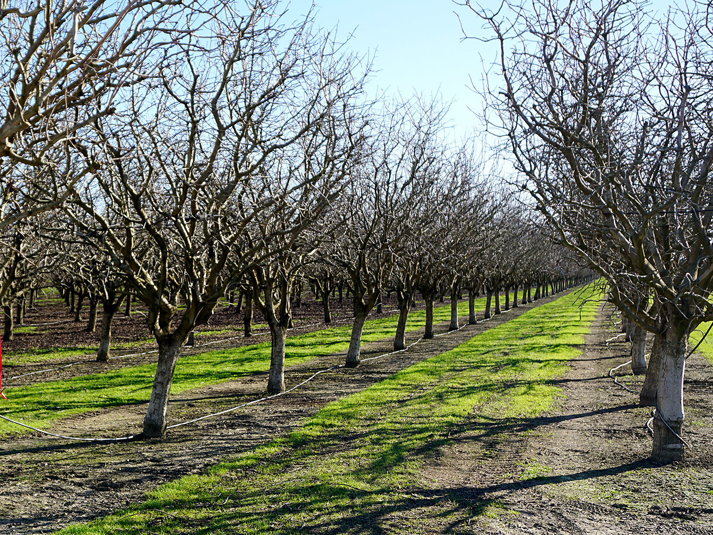 How Warming Winters Are Affecting Everything NCPR News