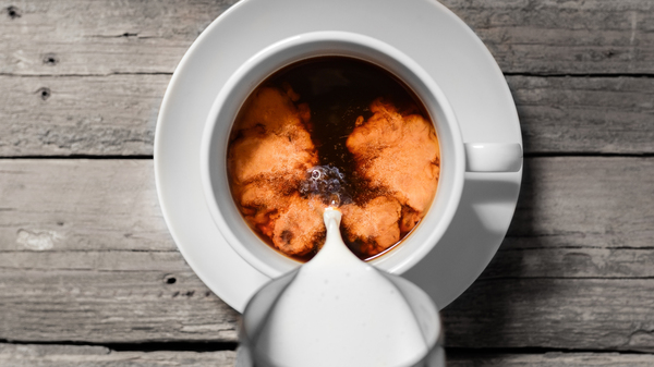 Michael Pollan gave up caffeine entirely for three months while working on his audiobook, Caffeine. "I recommend it," he says of his time without the drug. "I had some great sleeps." But he didn