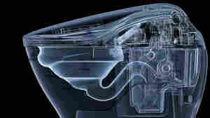 Why America Is Losing The Toilet Race