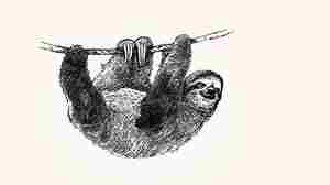 Too Busy? Make Time To 'Do Nothing'