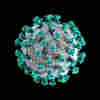 The Coronavirus Crisis