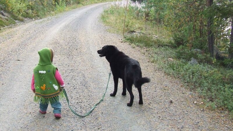 safe dog walks near me