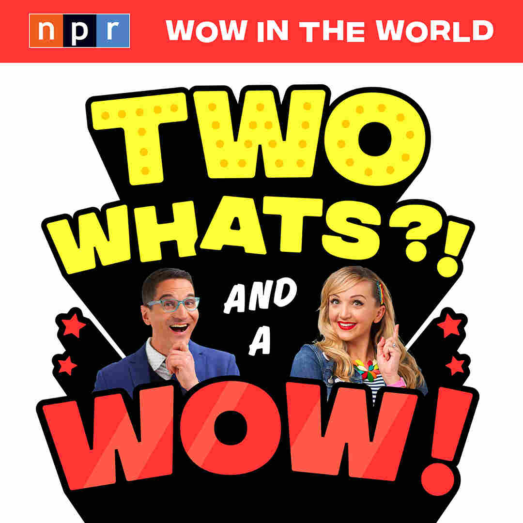 Why is Mindy stacking on ALL of her sweaters at the same time? And what does it have to do with GIRAFFES? We've got questions AND answers on this brand new game show, where we challenge YOU to spot the fact from the fiction! Welcome to the premiere episode of Two Whats!? & A Wow!