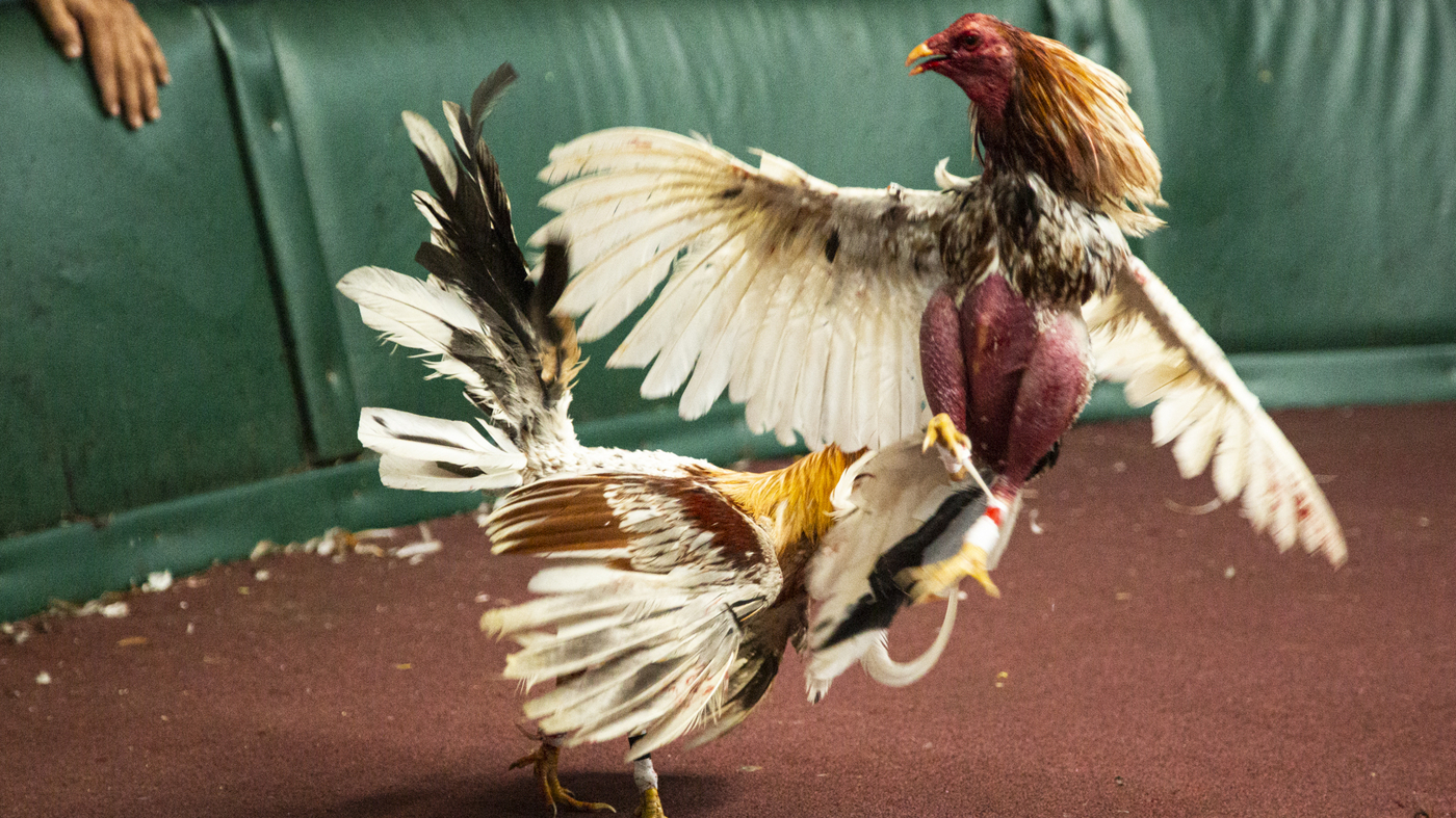 The Code Switch Podcast Playlist Code Switch NPR