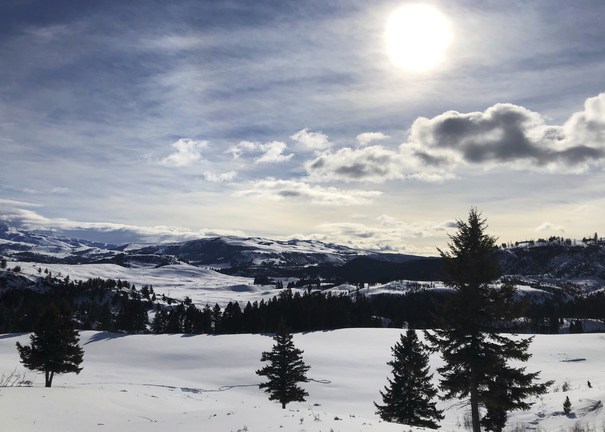 Yellowstone, Grand Teton, Great Smoky Mountains Close Over Coronavirus