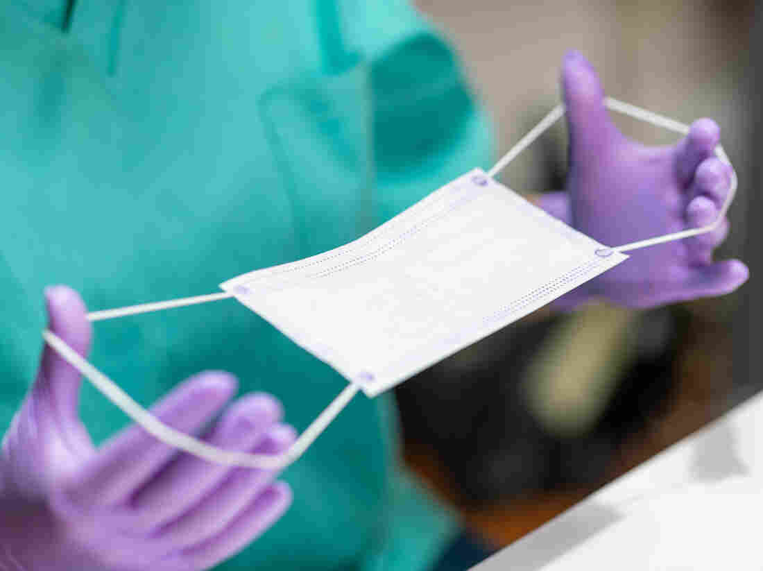 Hands in protective gloves holding stretching bands on protective mask for application.