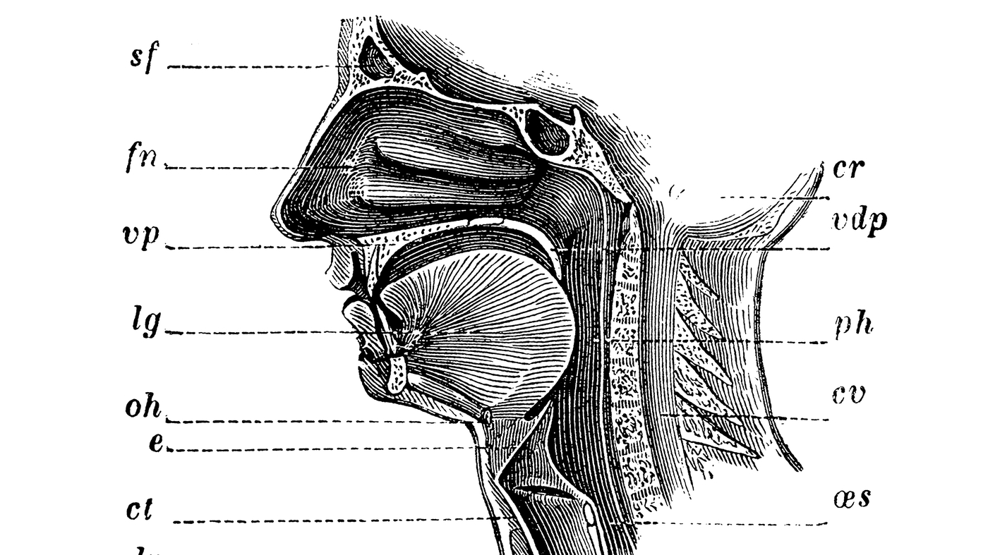 Doctors Notice Loss Of Smell And Taste Among Some COVID19 Patients