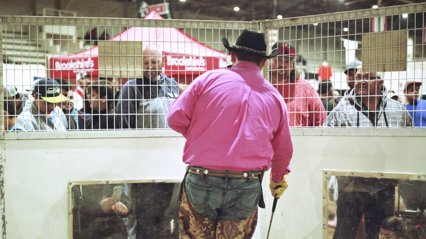 Texas Rattlesnake Rally Texas Rattlesnake Festival Highlights Town's History : The Picture Show ...