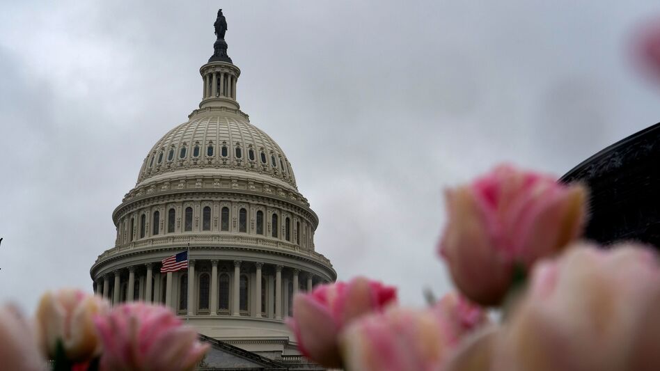The U.S. Capitol building on March 25, the same day the Senate unanimously passed a historic $2 trillion deal in response to the coronavirus crisis. (Alex Edelman/AFP via Getty Images)