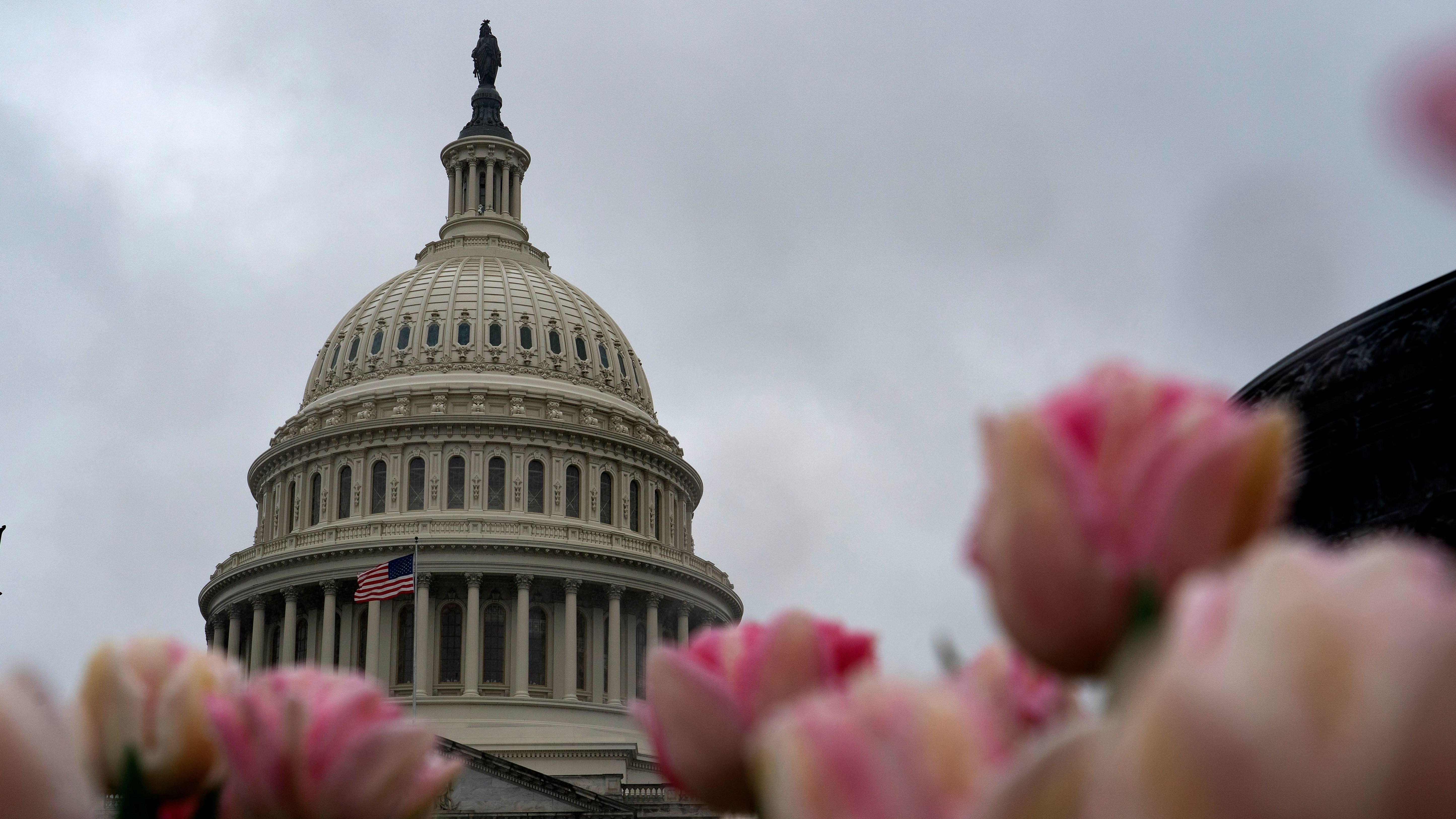 The U.S. Capitol building on March 25, the same day the Senate unanimously passed a historic $2 trillion deal in response to the coronavirus crisis. (AFP via Getty Images)
