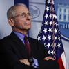 Fauci Estimates That 100,000 To 200,000 Americans Could Die From The Coronavirus