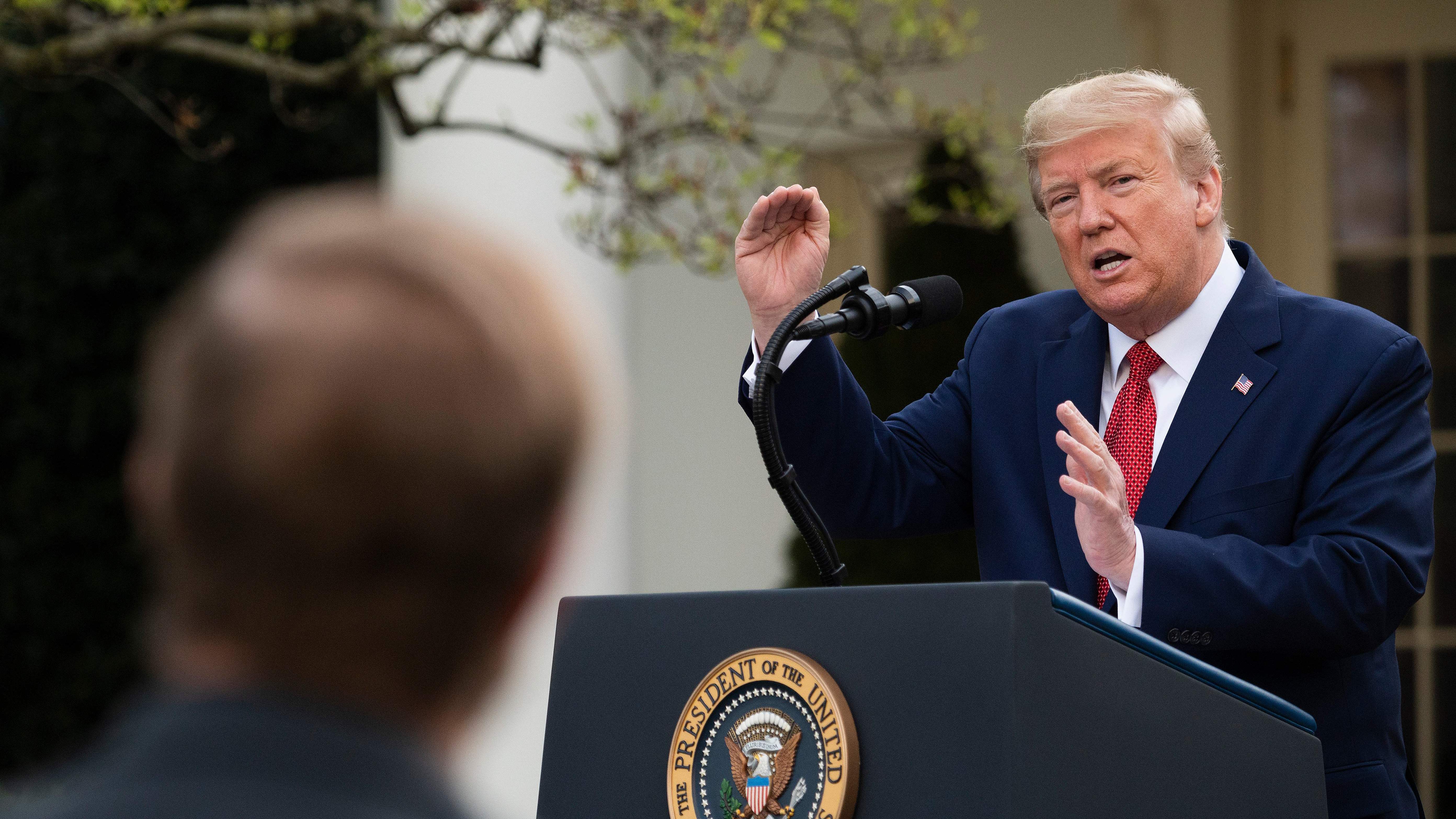 President Trump speaks in the Rose Garden for the daily coronavirus briefing at the White House on Sunday. (AFP via Getty Images)