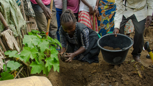 Alternative Mourning Rituals Offer Comfort And Closure During An Outbreak