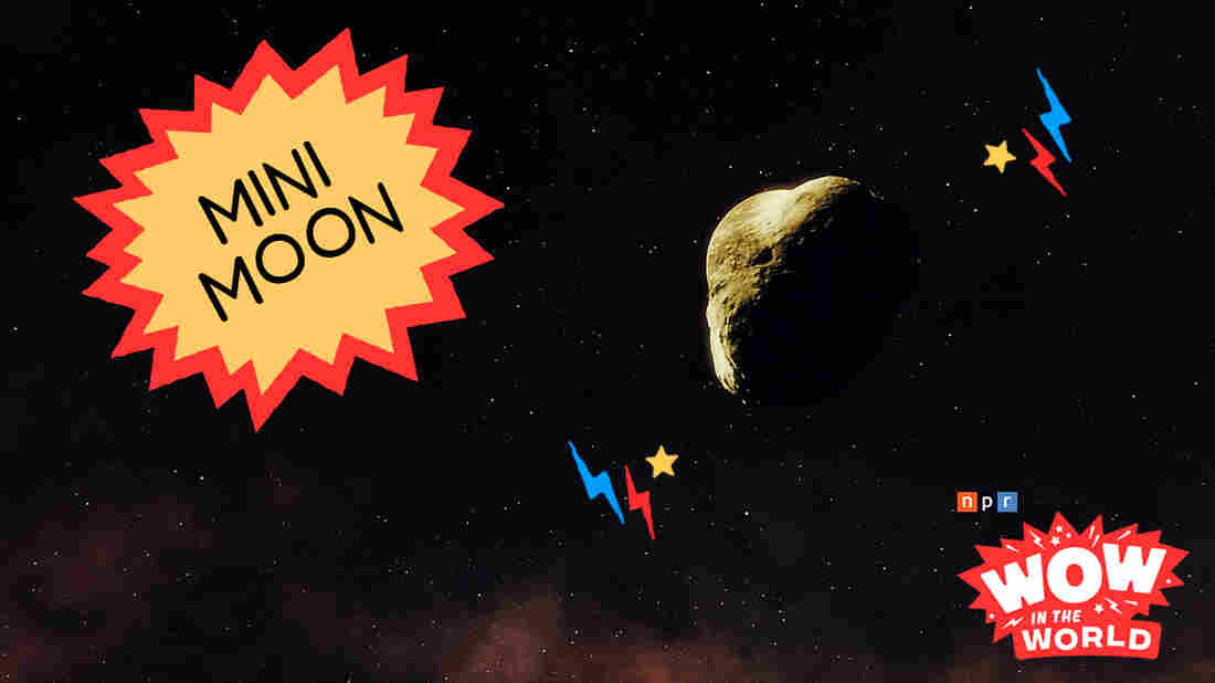 It's a Bird! It's A Plane! It's a....MINI MOON orbiting around Planet Earth!? That's right! For the past year or more, we here on earth, have had TWO moons! Join Mindy and Guy Raz as they go galaxy gazing to witness this wonder of wow firsthand! It's the Who, What, When, Where, Why, How and Wow in the World of the Mini Moon!