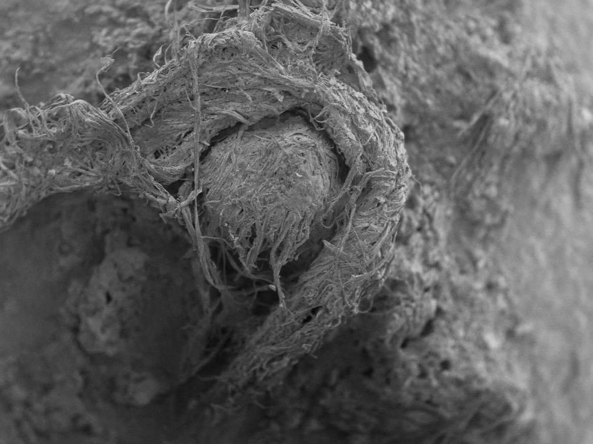 The Oldest String Ever Found May Have Been Made By Neanderthals