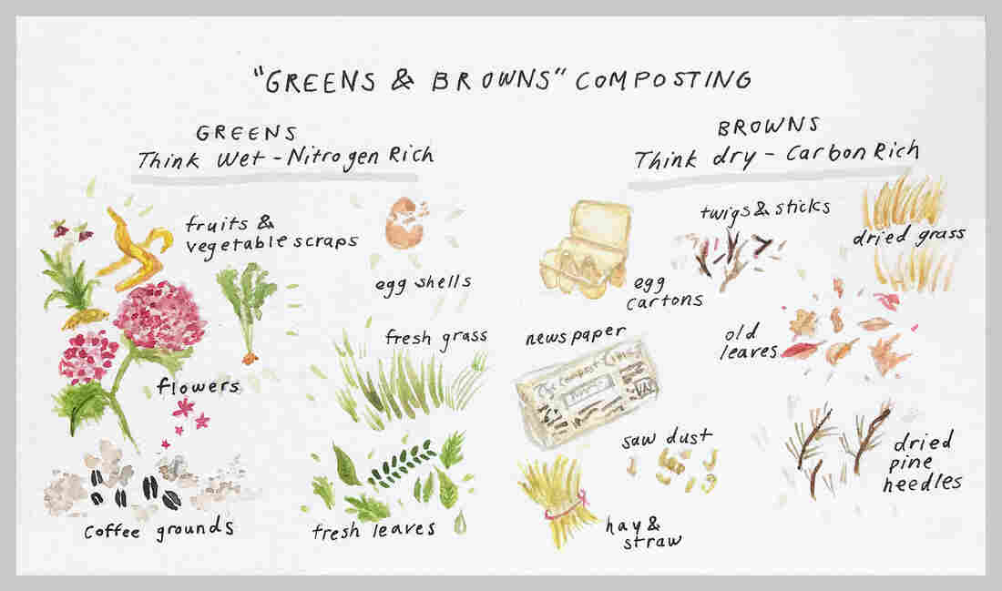 When composting at home, you need the right mix of "greens" and "browns" — what counts as green material and brown material is showed in this illustration.